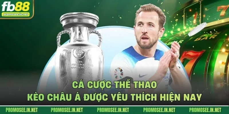 Cá cược thể thao kèo châu Á được yêu thích hiện nay