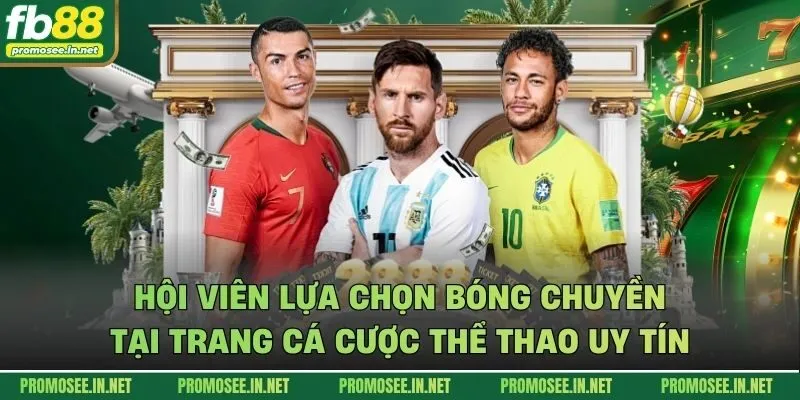 Hội viên lựa chọn bóng chuyền tại trang cá cược thể thao uy tín