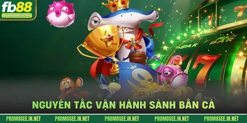 Nguyên tắc vận hành sảnh bắn cá