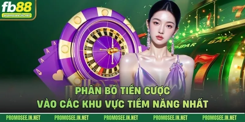 Phân bổ tiền cược vào các khu vực tiềm năng nhất