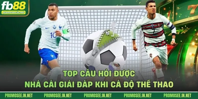 Top câu hỏi được nhà cái giải đáp khi cá độ thể thao